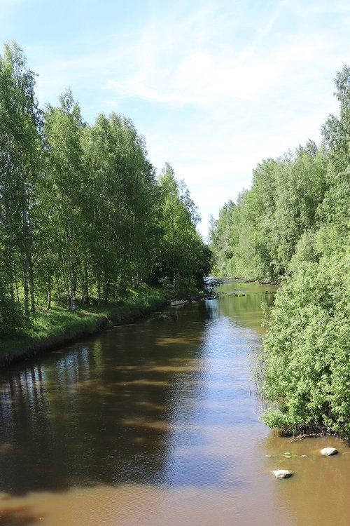 kesäkuva_S.jpg